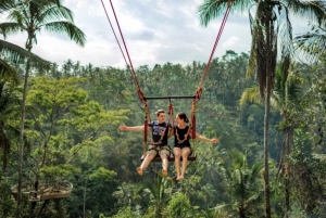 Bali:Private Exotic Waterfalls,Water Temple & Jungle Swing