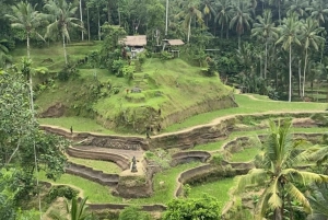 Bali : Private Full-day Tour Gate Of Heaven to Ubud
