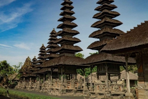Bali Private Full day Tour With Local Guide