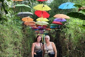 Бали: частный тур: качели в джунглях, водопад и рисовые поля