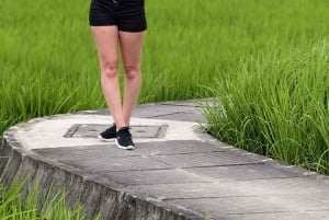 Бали: частный тур: качели в джунглях, водопад и рисовые поля