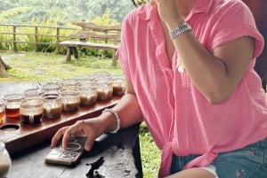 Бали: частный тур: качели в джунглях, водопад и рисовые поля