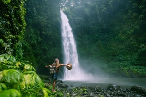Bali: privétour met jungleschommel, waterval en rijstveld