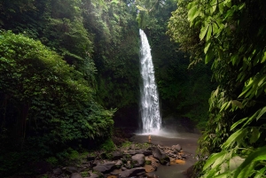 Bali: privétour met jungleschommel, waterval en rijstveld