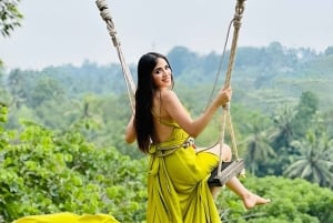 Bali: privétour met jungleschommel, waterval en rijstveld