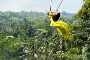 Bali: privétour met jungleschommel, waterval en rijstveld