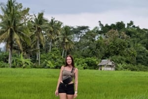 Bali: privétour met jungleschommel, waterval en rijstveld