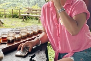 Bali: privétour met jungleschommel, waterval en rijstveld