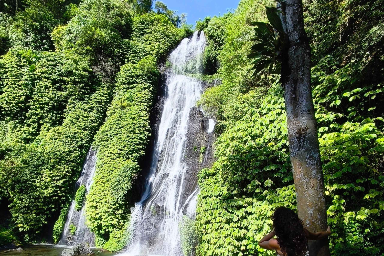 Bali: Private North Bali Tour with Lunch & Waterfall