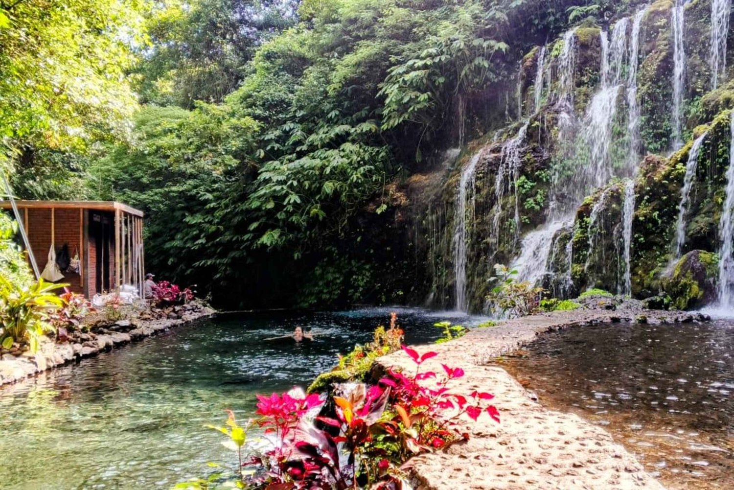 Bali: Private North Bali Tour with Lunch & Waterfall