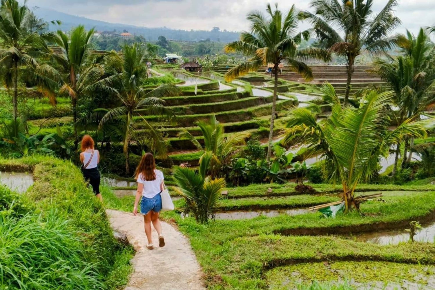 Bali: Private North Bali Tour with Lunch & Waterfall
