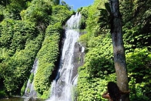 Bali: Private North Bali Tour with Lunch & Waterfall
