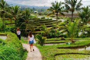Bali: Private North Bali Tour with Lunch & Waterfall