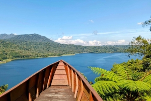 Bali: Private North Bali Tour with Lunch & Waterfall