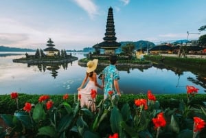 Bali: Private North Bali Tour with Lunch & Waterfall