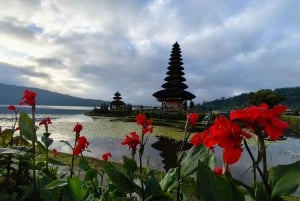 Bali: Private North Bali Tour with Lunch & Waterfall