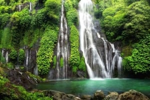 Bali: Private North Bali Tour with Lunch & Waterfall