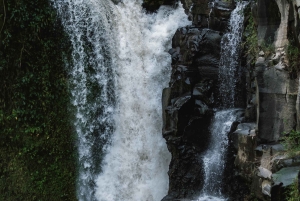Bali: Private Photoshoot with a Professional Photographer