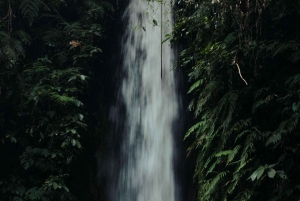 Bali: Private Photoshoot with a Professional Photographer