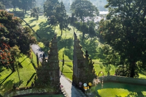 Bali: Private Photoshoot with a Professional Photographer