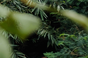 Bali: Private Photoshoot with a Professional Photographer