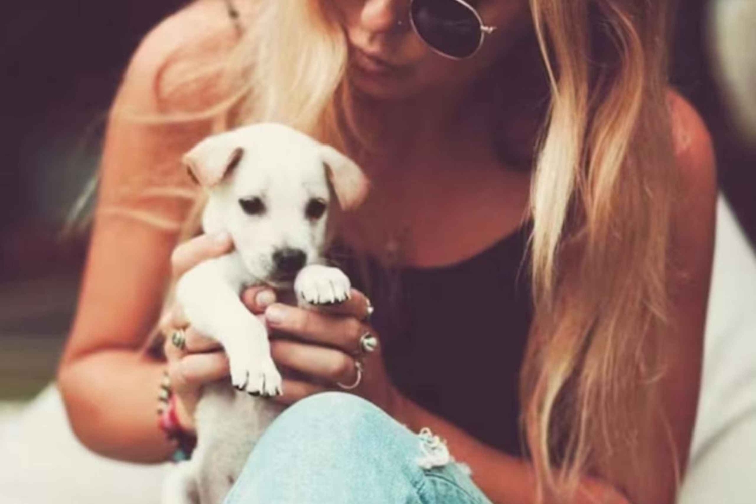 Bali: Yksityinen koiranpentuterapiaelämyksesi huvilassasi