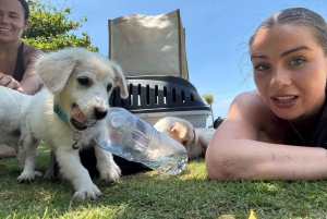 Bali: Yksityinen koiranpentuterapiaelämyksesi huvilassasi