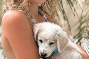 Bali: Yksityinen koiranpentuterapiaelämyksesi huvilassasi