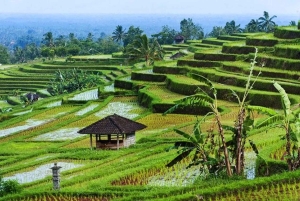 Bali: Privat tur till Sangeh Monkey Forest, tempel och vattenfall