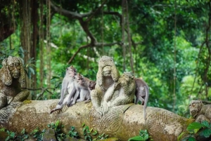 Bali: Privat tur till Sangeh Monkey Forest, tempel och vattenfall