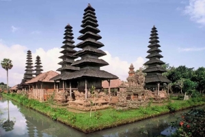 Bali: Privat tur till Sangeh Monkey Forest, tempel och vattenfall