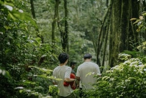 バリ島：セルカン・バワン港からのプライベート寄港地ツアーをご利用ください