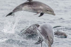バリ島：セルカン・バワン港からのプライベート寄港地ツアーをご利用ください