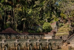 バリ島：セルカン・バワン港からのプライベート寄港地ツアーをご利用ください