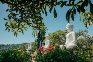 バリ島：セルカン・バワン港からのプライベート寄港地ツアーをご利用ください