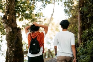 バリ島：セルカン・バワン港からのプライベート寄港地ツアーをご利用ください