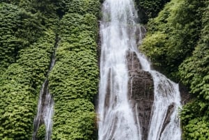 バリ島：セルカン・バワン港からのプライベート寄港地ツアーをご利用ください