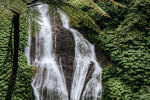 バリ島：セルカン・バワン港からのプライベート寄港地ツアーをご利用ください