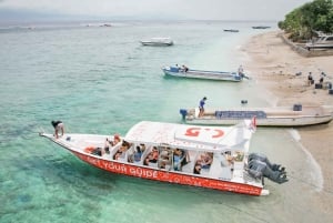Bali: Prywatny snorkeling w Manta Point na Nusa Penida