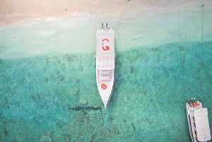 Bali: Prywatny snorkeling w Manta Point na Nusa Penida