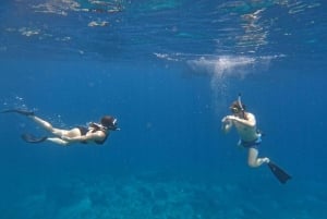 Bali: Prywatny snorkeling w Manta Point na Nusa Penida