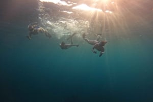 Bali: Prywatny snorkeling w Manta Point na Nusa Penida