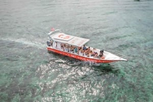 Bali: Prywatny snorkeling w Manta Point na Nusa Penida
