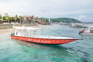 Bali: Prywatny snorkeling w Manta Point na Nusa Penida