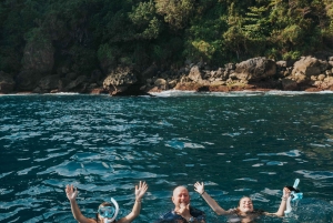 Bali: Prywatny snorkeling w Manta Point na Nusa Penida