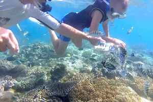Bali: Private Snorkeling To Blue Lagoon And Tanjung Jepun