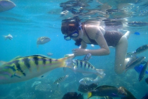 Bali: Private Snorkeling To Blue Lagoon And Tanjung Jepun