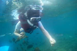 Bali: Private Snorkeling To Blue Lagoon And Tanjung Jepun