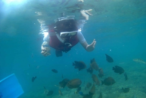 Bali: Private Snorkeling To Blue Lagoon And Tanjung Jepun