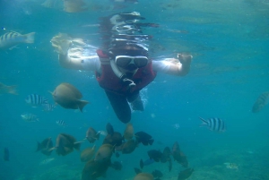 Bali: Private Snorkeling To Blue Lagoon And Tanjung Jepun